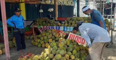 Wow, Durian dari Kalbar Rutin Diekspor ke Negeri Tirai Bambu