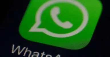WhatsApp Punya Fitur IP Protect, Begini Cara Mengaktifkannya