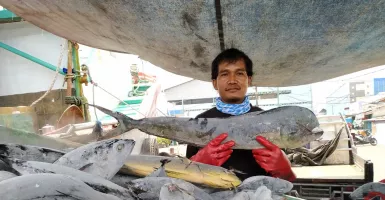 Ikan Tenggiri Khasiatnya Luar Biasa, Ampuh Atasi Gejala Depresi