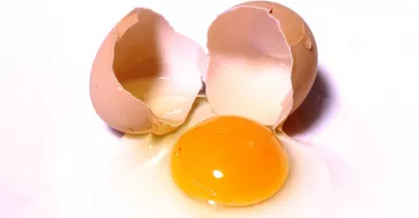 Mencengangkan, Kuning Telur Ternyata Baik untuk Kolesterol