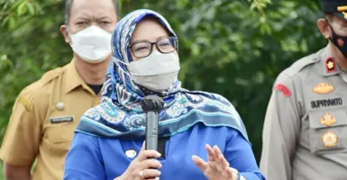 Profil Ade Yasin, Bupati Bogor yang Kena OTT KPK