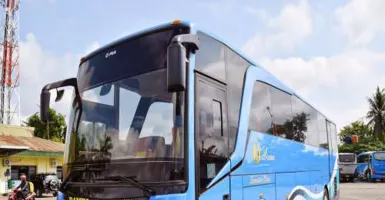 Bus Damri Buka Rute Surabaya-Ponorogo, Tiket Rp 70 Ribu