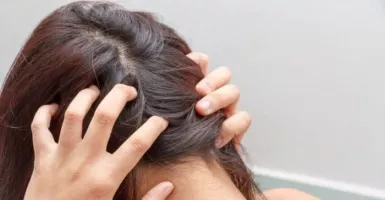 Ladies, Ini Dia 4 Tips Merawat Rambut Keriting Agar Mudah Diatur