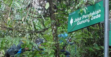 Penutupan Jalur Pendakian Gunung Gede-Pangrango Diperpanjang