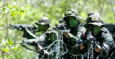 Pengamat Militer Beber Latihan TNI AD-US Army, Mengejutkan