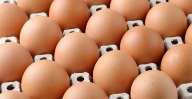 Harga Telur Ayam Mencapai Rp 32 Ribu Per Kilogram, Pedagang Menjerit