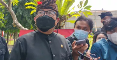 Wagub: Masih Ada Penderita Covid di Bali Takut Diisolasi di Hotel
