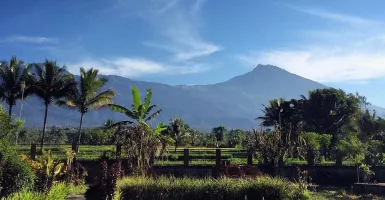 Ini 6 Desa Wisata Tersembunyi di Indonesia, Intip Keindahannya
