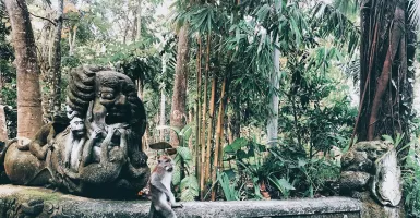 10 Rekomendasi Destinasi Wisata di Bali Cocok Mengisi Liburan