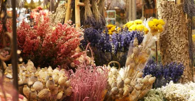 4 Cara Membuat Bouquet Dried Flowers yang Cantik