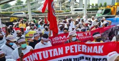 Ribuan Peternak Ayam dan Itik Kepung Jakarta