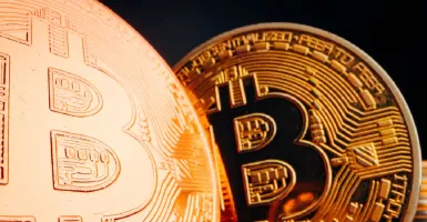 Kripto Bitcoin Meroket, Bos Indodax Beber Angkanya! Wow