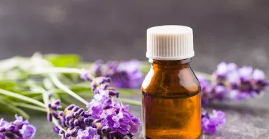 3 Manfaat Minyak Lavender untuk Perawatan Kulit, Cantik Tanpa Jerawat