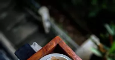 Green Wheels Coffee Tawarkan Tempat Nongkrong Cozy di Bogor