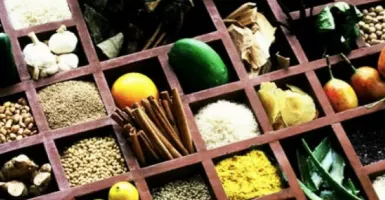Indonesia Berpotensi Jadi Sumber Tanaman Herbal Dunia