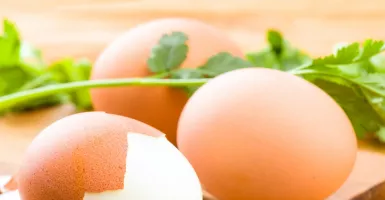 Makan Telur Bermanfaat untuk Membesarkan Otot, Benarkah?