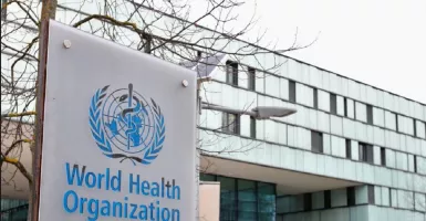 WHO Memperingatkan Dunia, Kenaikan Wabah Kolera Mengkhawatirkan