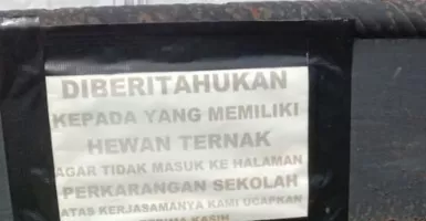 Miris, Sekolah di Aceh Malah Jadi Kandang Hewan Ternak