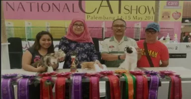 komunitas Kucing Indonesia Sudah Diakui Internasional