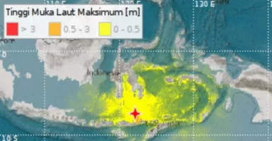 Awas! Ancaman Tsunami di NTT Hingga Maluku