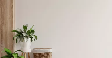 5 Alasan Dinding Rumahmu Harus Warna Putih