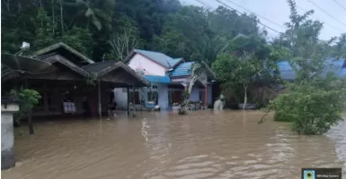 Masalah Baru Presiden Jokowi, Calon Ibu Kota Indonesia Banjir