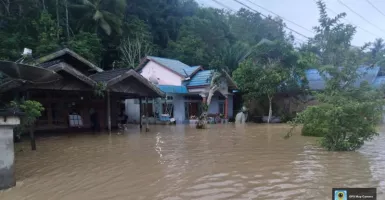 Terjadi Banjir, Penetapan Lokasi Ibu Kota Negara Baru Serampangan