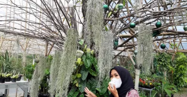 Kampung Mawar Resto Jadi Wisata Baru di Kabupaten Bandung, Serbu!