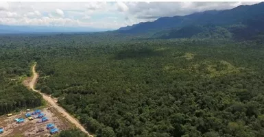 Pemekaran 3 Wilayah Disebut Ciptakan Sejarah Besar untuk Papua