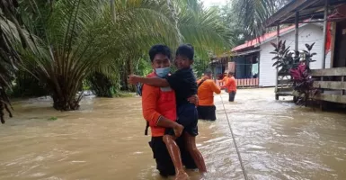 Kabar Terbaru, Banjir di Ibu Kota Negara Baru, Alhamdulillah