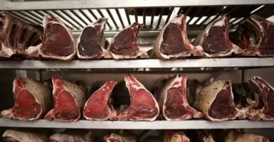 Gara-gara Sapi Gila, Impor Daging dari Kanada Ditangguhkan
