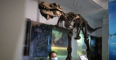 Serunya Menjelajahi Museum Geologi Bandung, Nggak Bakal Bosan