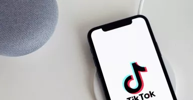 Cara Download Video TikTok Tanpa Watermark, Ada Link Ajaib