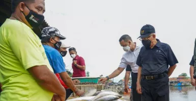Tampil Beda, Wapres Ma'ruf Amin Borong Ikan di Tempat Pelelangan