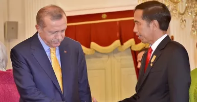 Mengubah Citra Negara, Erdogan Sepertinya Meniru Jokowi