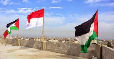MUI Akui Mewujudkan Palestina Negara Berdaulat Itu Penuh Hambatan