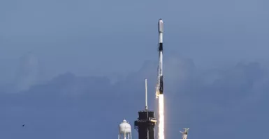 Badai Matahari Bikin Puluhan Satelit Elon Musk Rontok