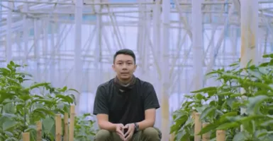 Masih Muda, Aji Sukses Jadi Petani Paprika, Pasarnya Luar Biasa