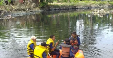 Mengerikan, 3 Buaya Muncul di Sungai Cirarab Tangerang