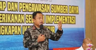 Pesisir Rusak akibat Tambang Pasir Timah, KKP Siap Usut
