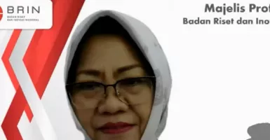Siti Zuhro: Konstitusi Berperan Dalam Sistem Pemilih