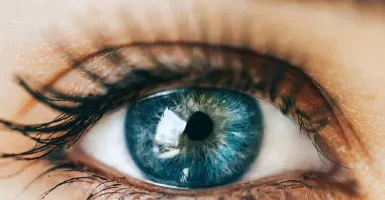 Simak, Ini 4 Cara Mudah Jaga Kesehatan Mata