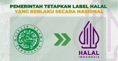 Logo Halalnya Tak Lagi Dipakai, MUI Masih Urus Sertifikasi Halal?