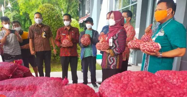 Kemendag Mau Impor Bawang Merah, Kementan: Petani Bisa Kena Pukul