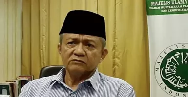 Heboh Nasi Uduk Aceh Babi, Waketum MUI Beri Komentar Keras