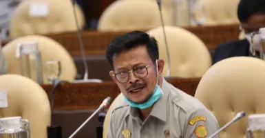 Impor Pangan Meningkat, Menteri Pertanian Kena Sentil DPR