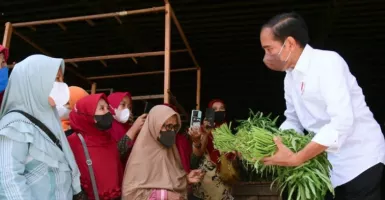 Jokowi Borong Kangkung di Pasar Tanjung Brebes, Pegadang Gemetar