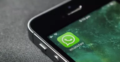 Fitur Baru WhatsApp, Bisa Kirim Berkas Maksimal 2 GB