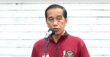 Presiden Jokowi Minta Pembangunan IKN Lebih Dimatangkan