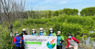 Cegah Intrusi Air Laut, Pertamina Tanam 1.103 Mangrove di Jateng